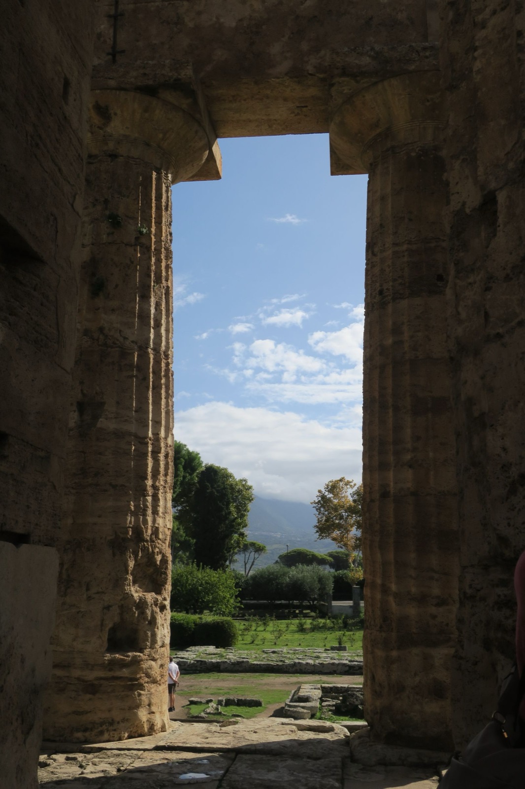 Vista tra le colonne doriche di un tempio di Paestum, con le colline del Cilento sullo sfondo