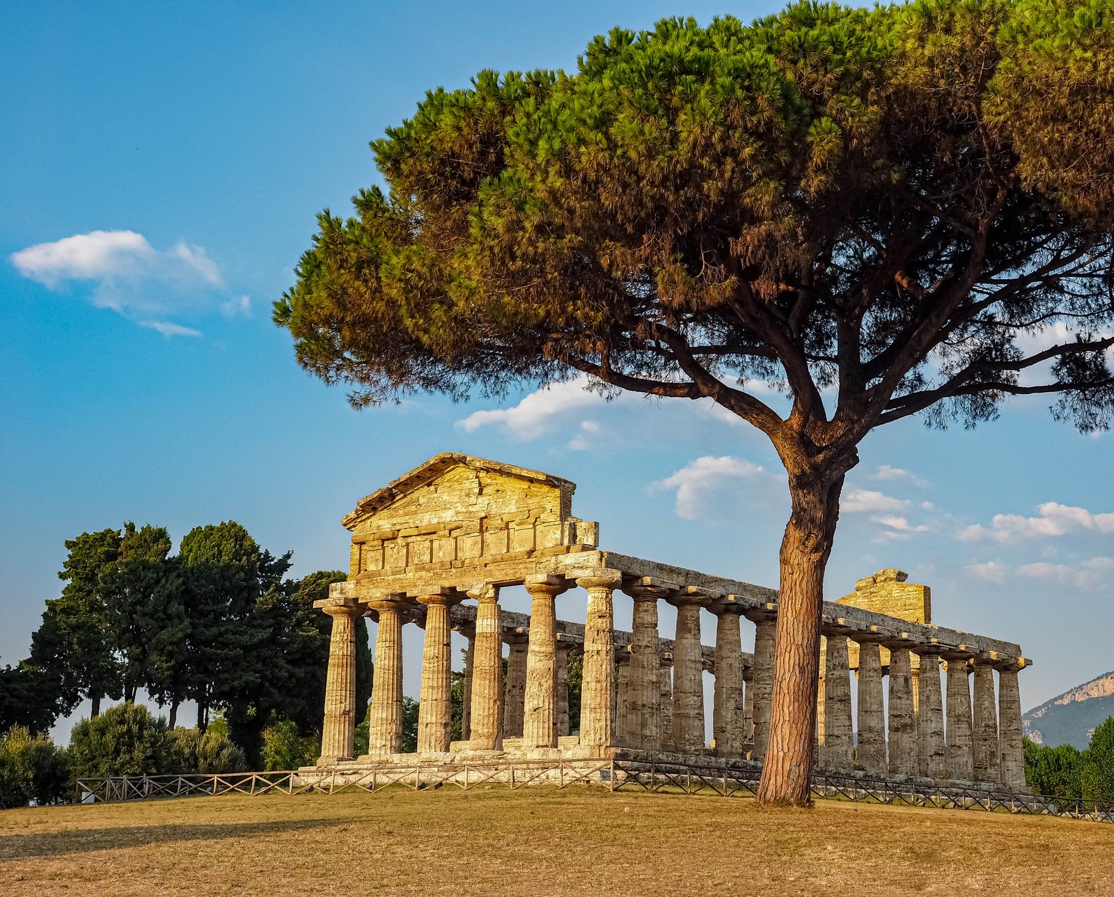 Cosa vedere a Paestum: guida ai templi e al parco archeologico