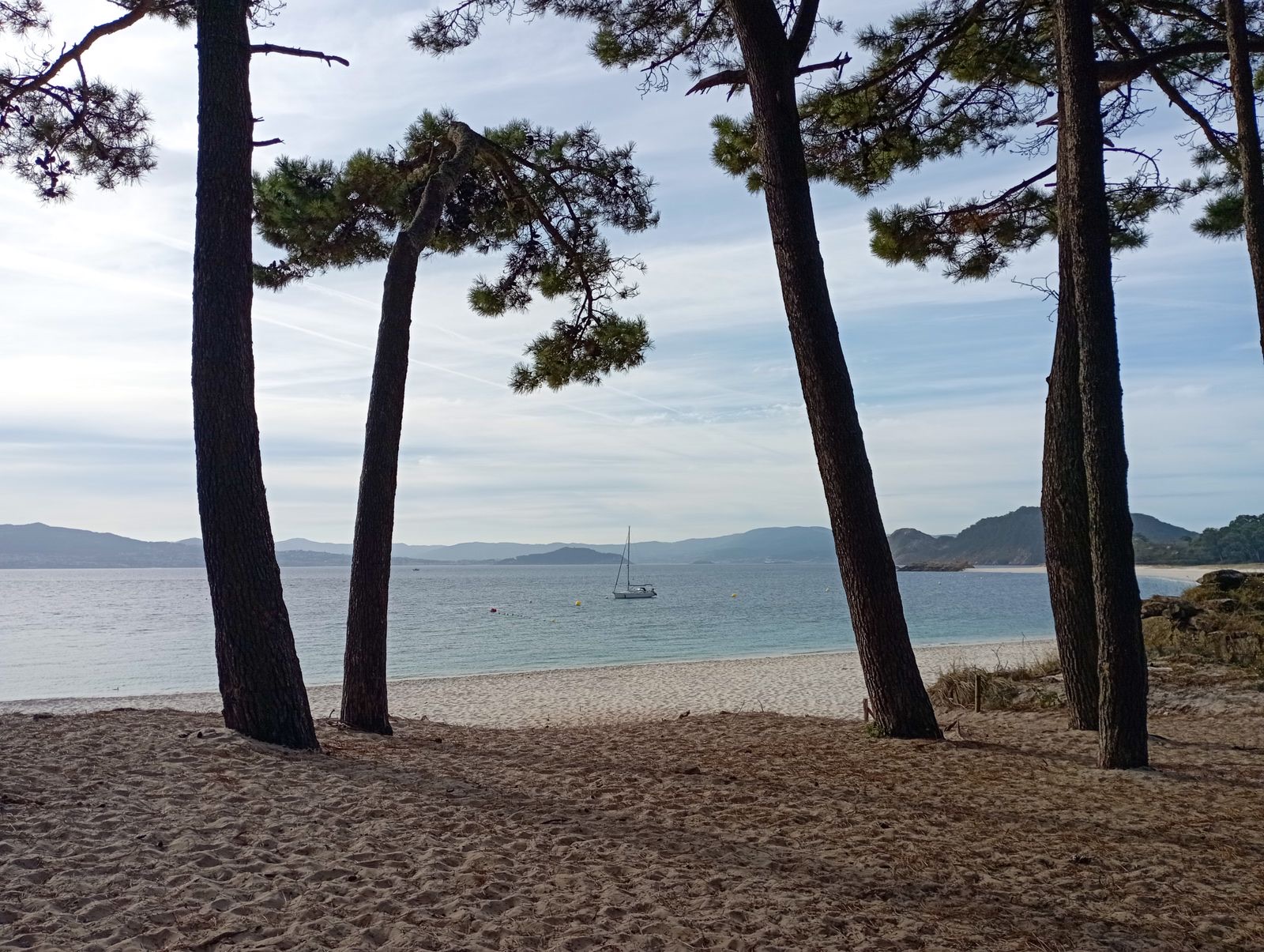 Pineta affacciata sul mare e barca sulla riva sabbiosa