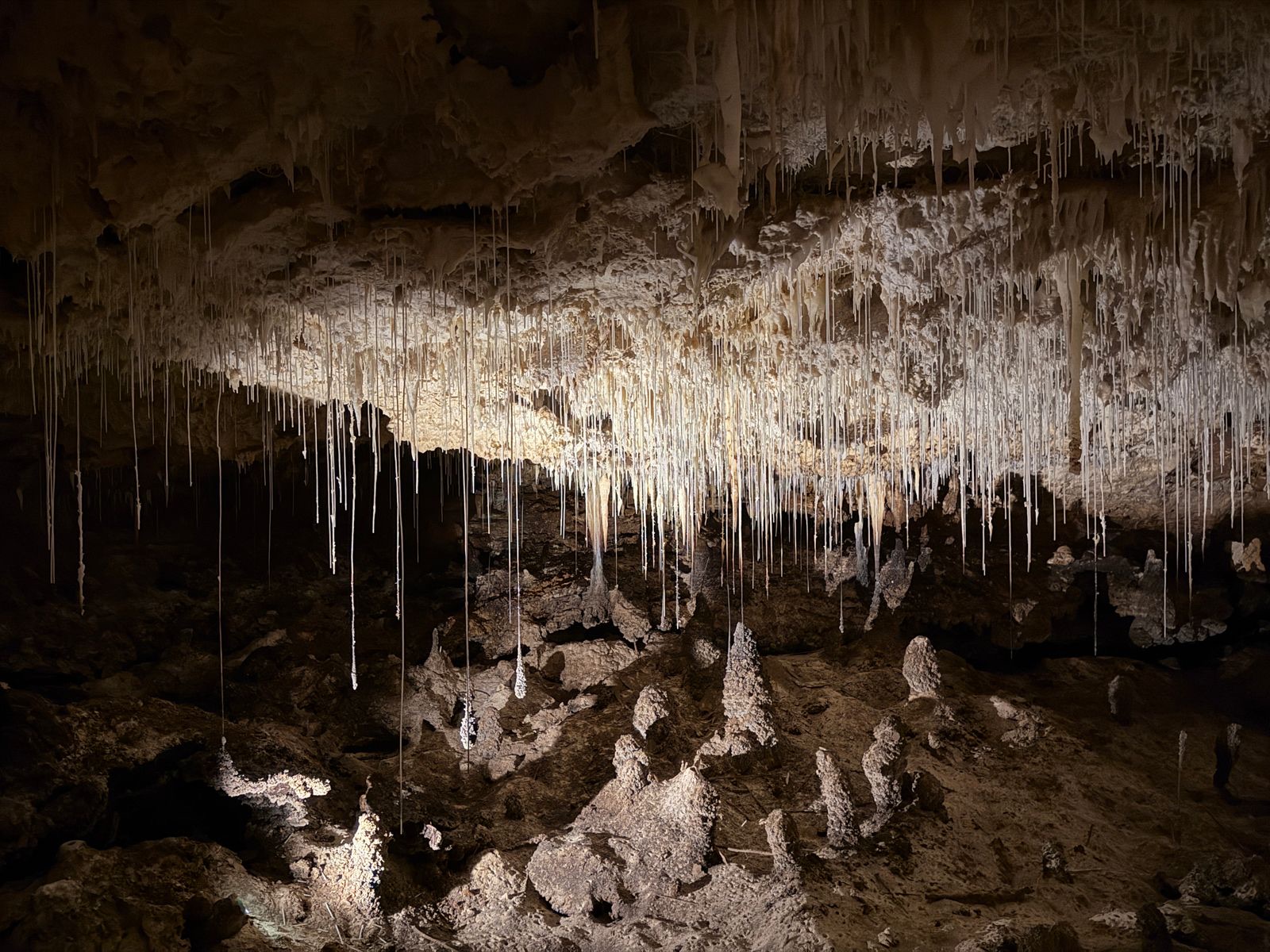 Grotte di Pertosa-Auletta: in barca nel fiume sotterraneo