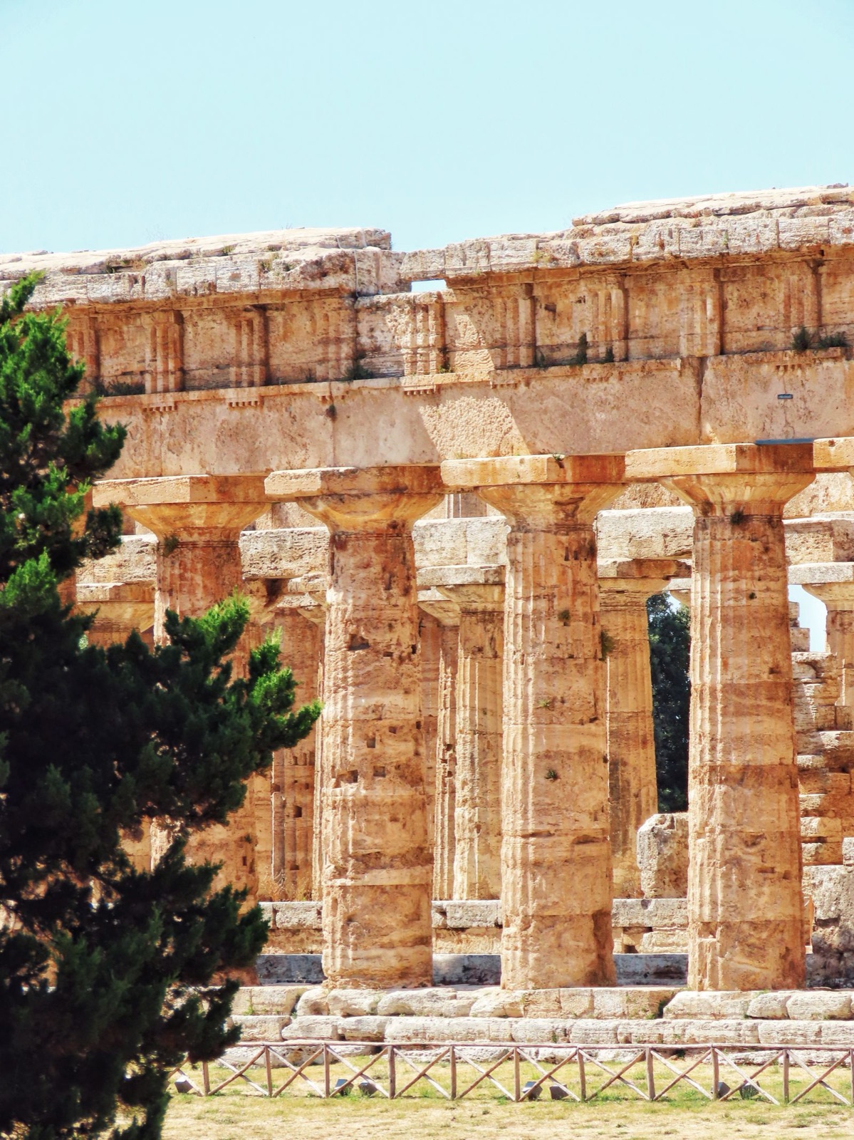 Dettaglio delle colonne doriche e del fregio di un tempio di Paestum