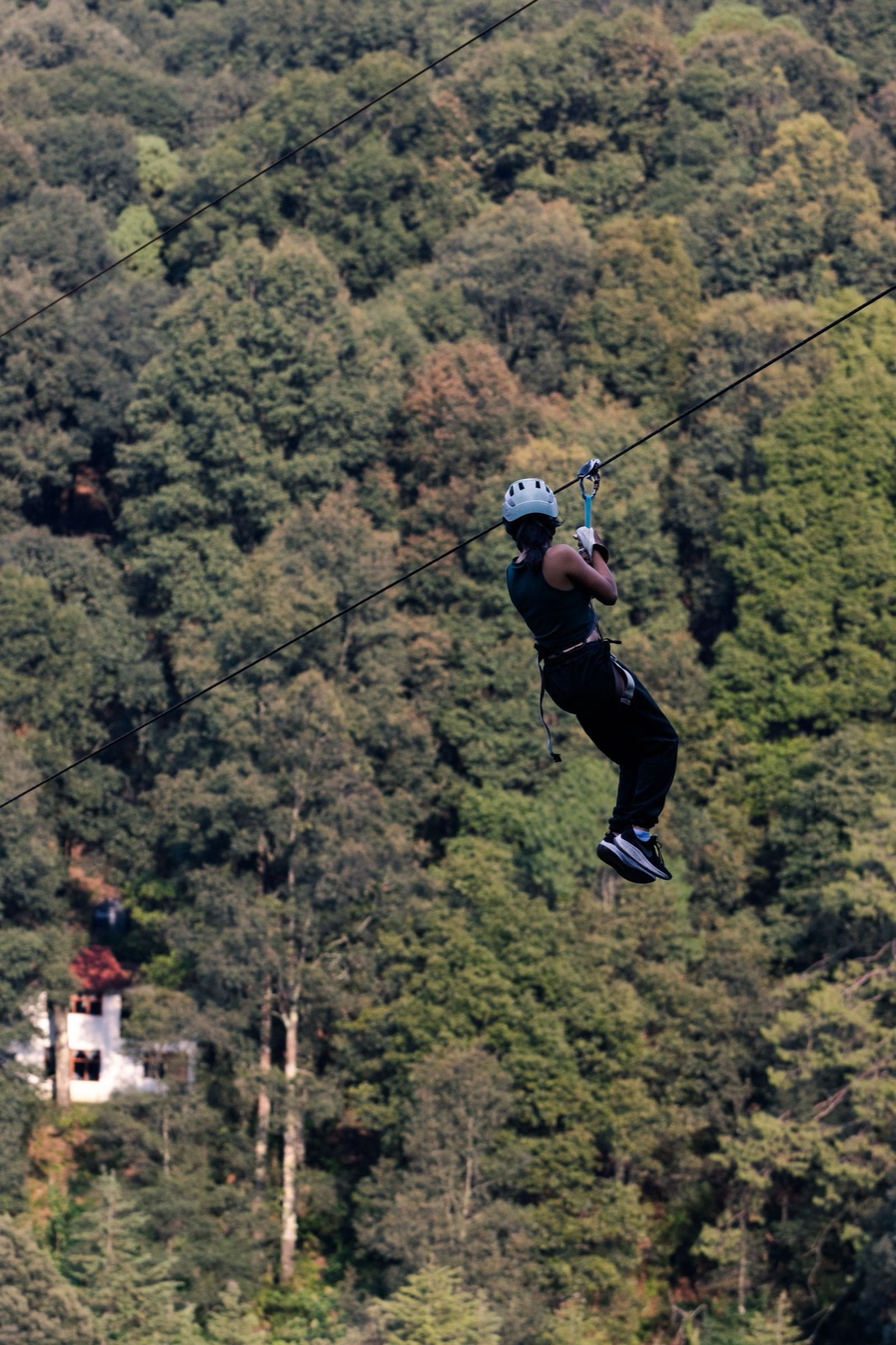Persona che vola su una zip-line panoramica sopra la valle boscosa